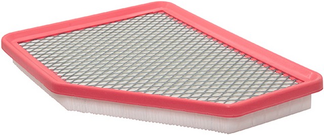 Baldwin PA10078 Air Filter For CHEVROLET