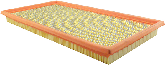 Baldwin PA4185 Air Filter For FORD,MERCURY
