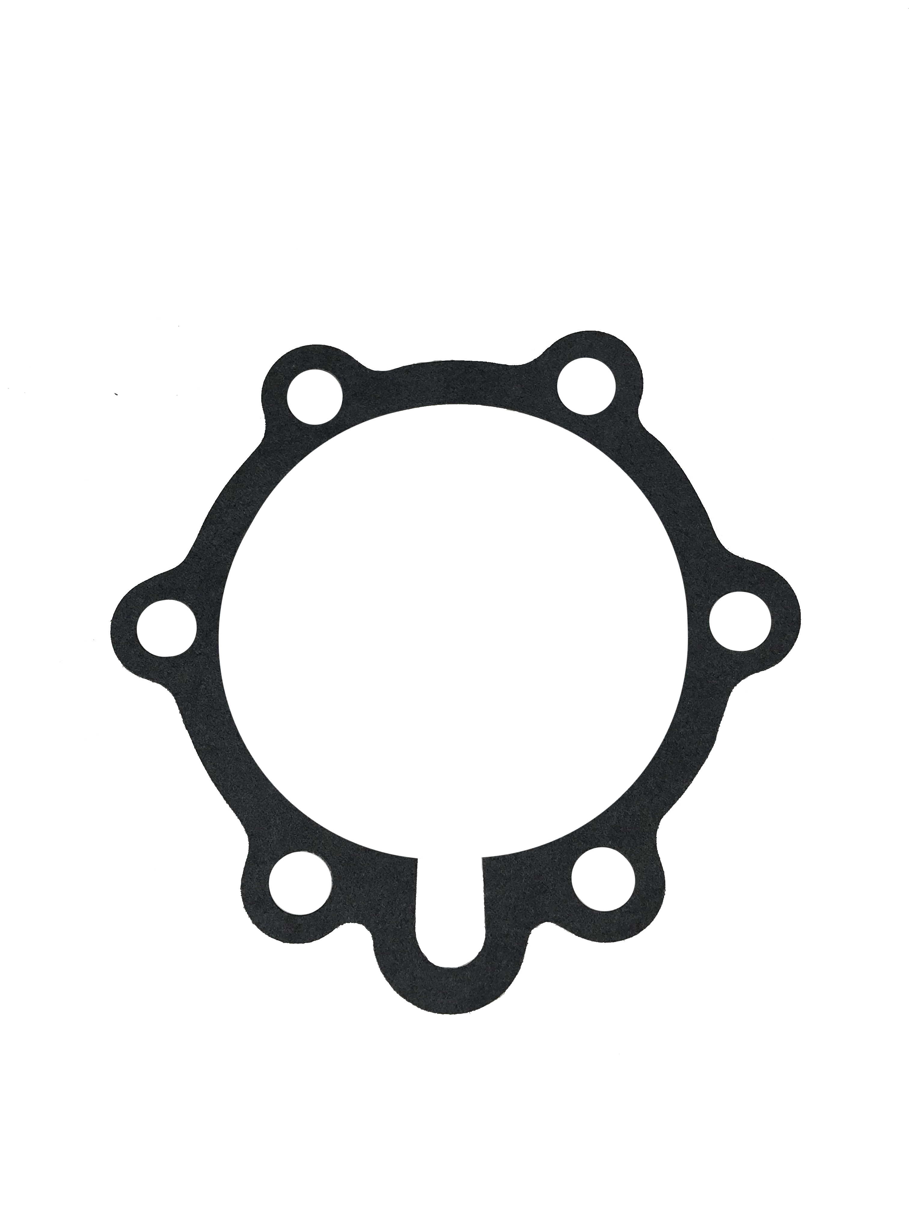 Alto Products Corp 023024 Gasket, Overhaul Kit Component For VELVET DRIVE ®