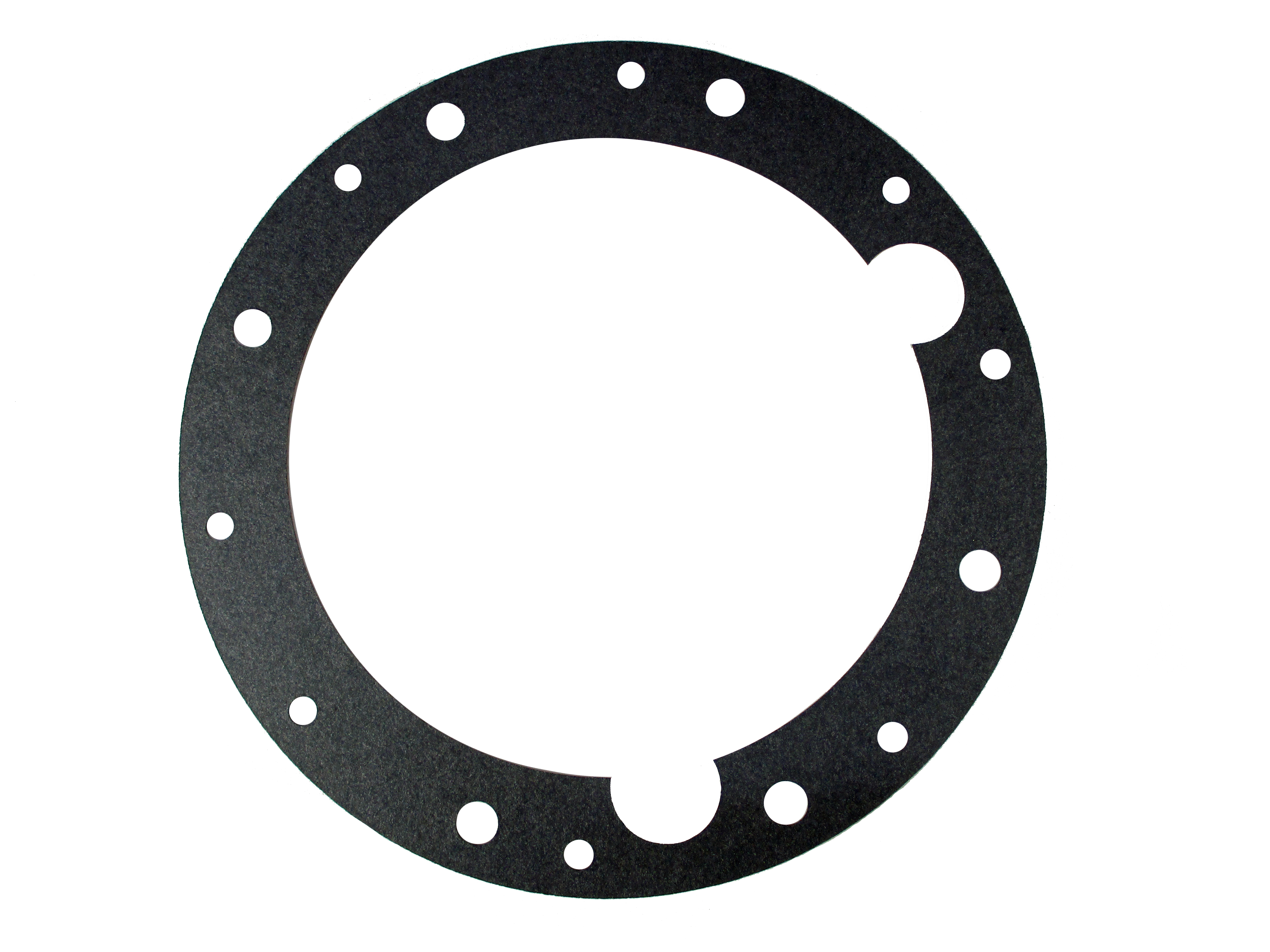 Alto Products Corp 023031 Gasket, Overhaul Kit Component For PARAGON