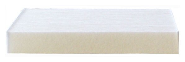 Warner Filters WCAF1873 