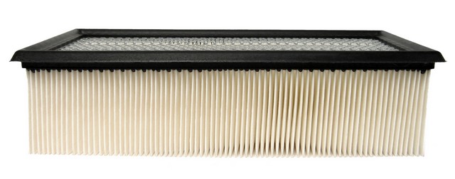 Warner Filters WLAF9096 Air Filter For FORD