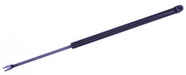 AMS Automotive 4286 Liftgate Lift Support For TOYOTA