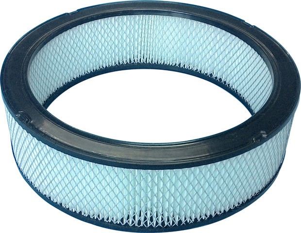 Bosch 5544WS Air Filter For AVANTI,BUICK,CADILLAC,CHECKER,CHEVROLET,GMC,OLDSMOBILE,PONTIAC