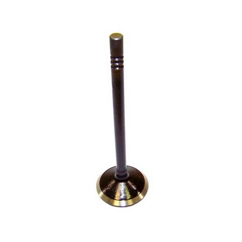 DNJ EV1100 Engine Exhaust Valve For CHRYSLER,DODGE,JEEP,MITSUBISHI