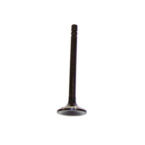 DNJ EV3114 Engine Exhaust Valve For CHEVROLET,GMC,ISUZU,OLDSMOBILE,PONTIAC