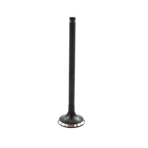 DNJ EV407 Engine Exhaust Valve For KIA