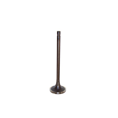 DNJ EV4200 Engine Exhaust Valve For FORD