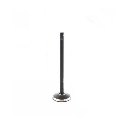 DNJ EV939 Engine Exhaust Valve For TOYOTA