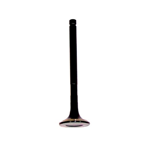 DNJ EV944 Engine Exhaust Valve For LEXUS,TOYOTA