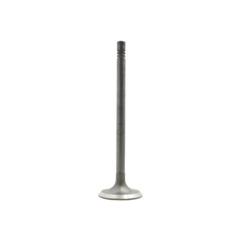DNJ IV4125 Engine Intake Valve For FORD,MERCURY