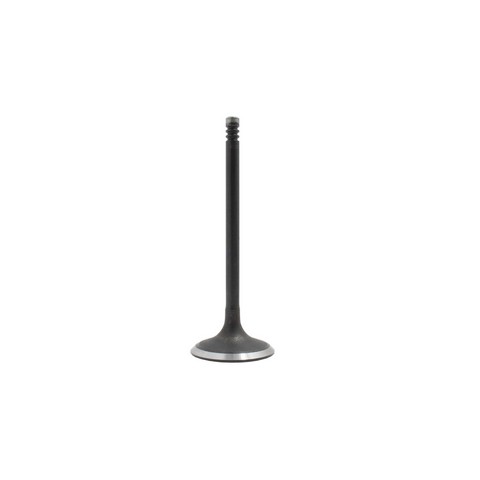 DNJ IV4139 Engine Intake Valve For FORD,MAZDA,MERCURY