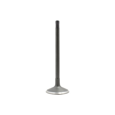 DNJ IV420 Engine Intake Valve For FORD,MERCURY