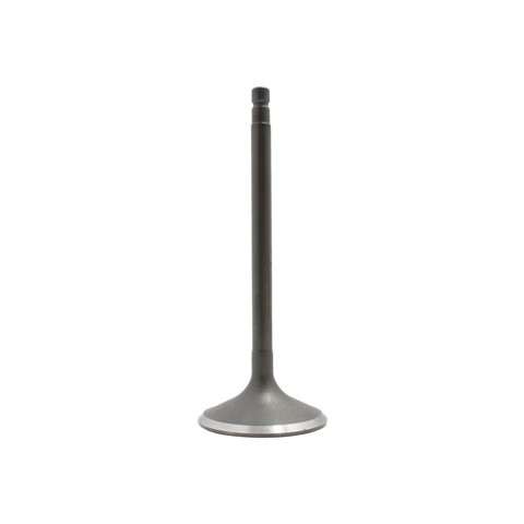 DNJ IV644 Engine Intake Valve For INFINITI,NISSAN,SUZUKI