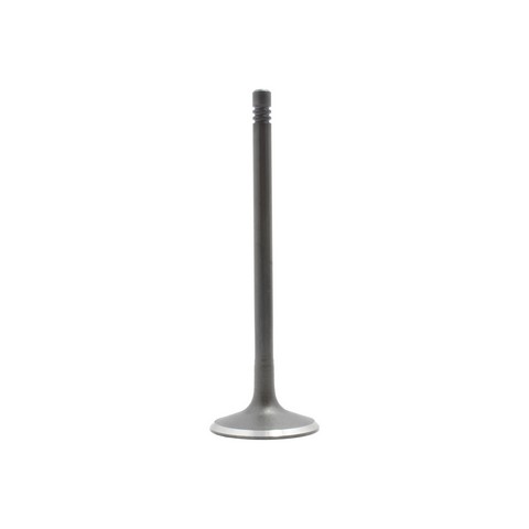 DNJ IV802 Engine Intake Valve For AUDI,VOLKSWAGEN