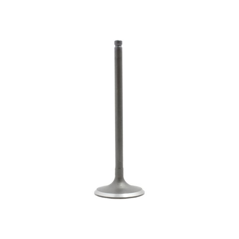 DNJ IV922 Engine Intake Valve For LEXUS,PONTIAC,SCION,TOYOTA