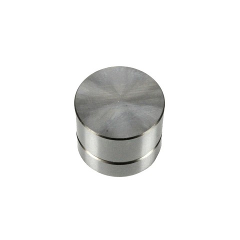DNJ LIF311 Engine Valve Lifter For BUICK,CADILLAC,CHEVROLET,OLDSMOBILE,PONTIAC,SATURN