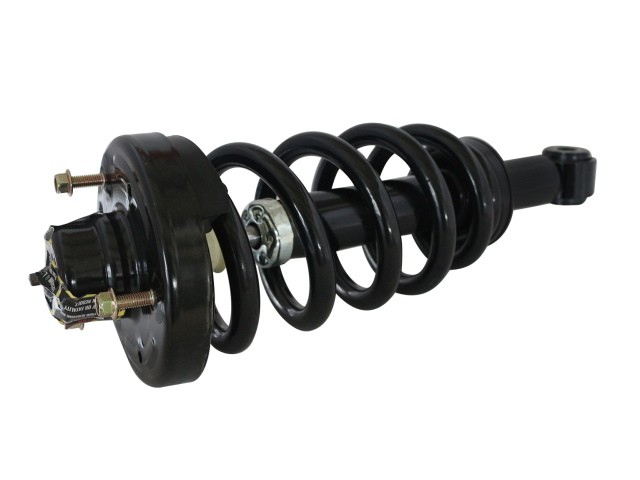 GSP 811361 Suspension Strut and Coil Spring Assembly For FORD